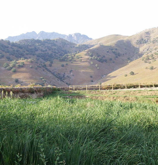 Edar Natural Integrada.