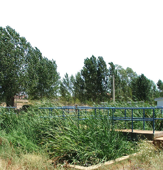 Edar Natural Reciclada.
