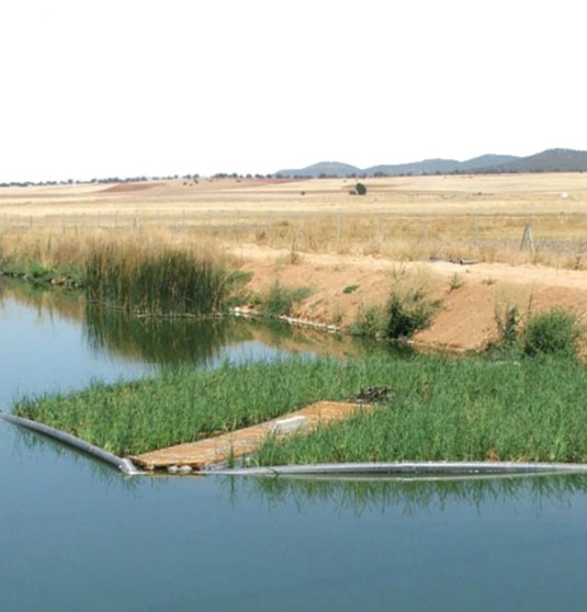 Edar Natural Isla