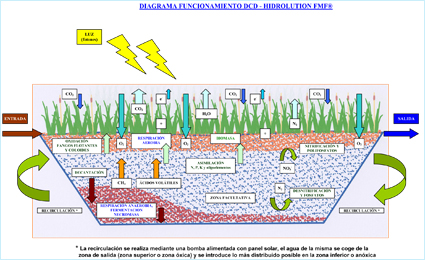 Diagrama Funcionamiento E.D.A.R. Natural - DCD2